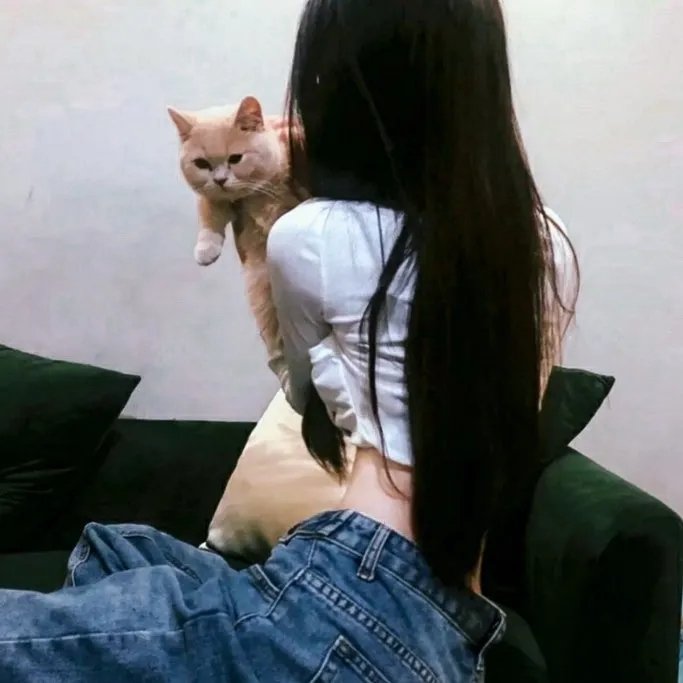 律师菲斯克 第一季